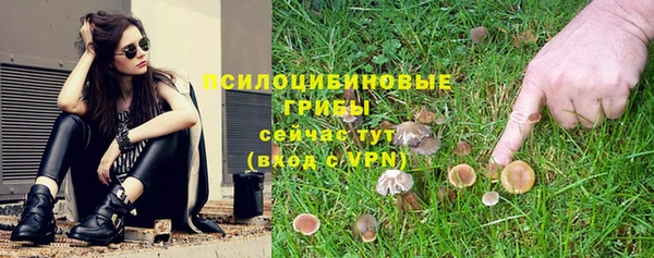 Альфа ПВП Алзамай