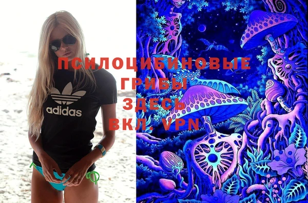Альфа ПВП Алзамай