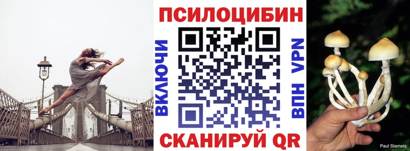 Псилоцибиновые грибы мицелий  KRAKEN ССЫЛКА  Дмитриев 