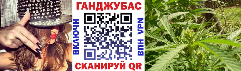 blacksprut зеркало  Дмитриев  Шишки марихуана гибрид  продажа наркотиков 